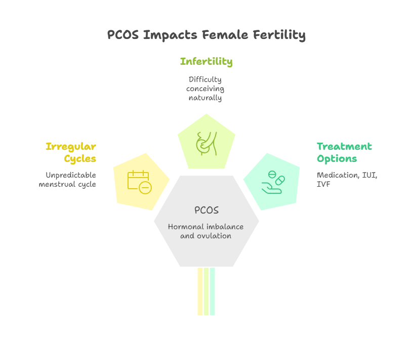 PCOS impact and fertility treatment options