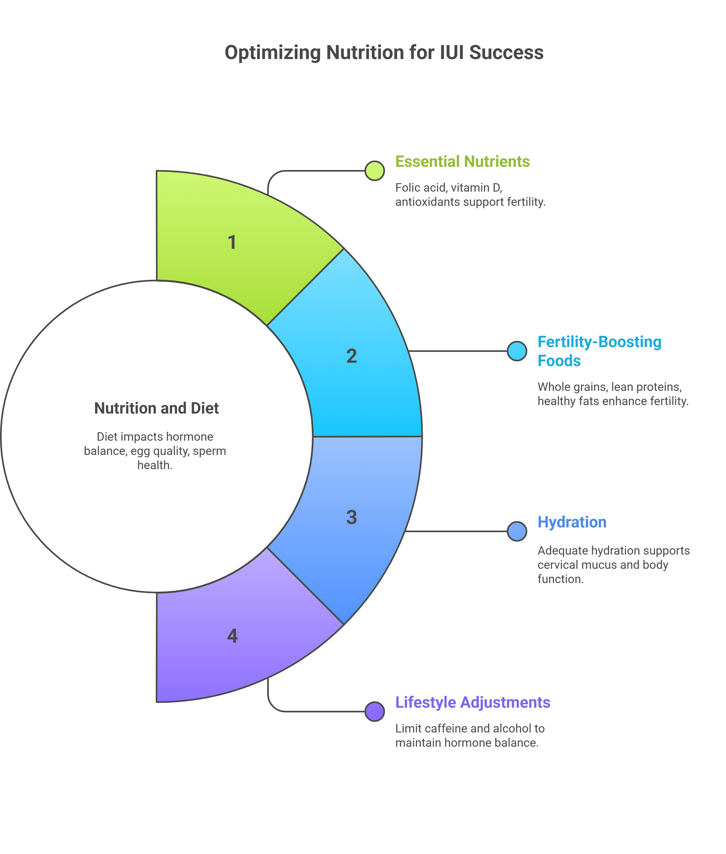 Nutrition and Diet for IUI