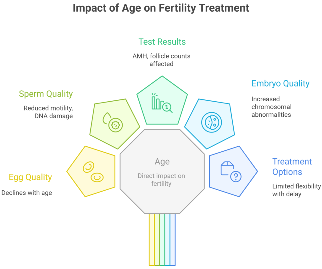 Why Age Matters in Fertility Treatment