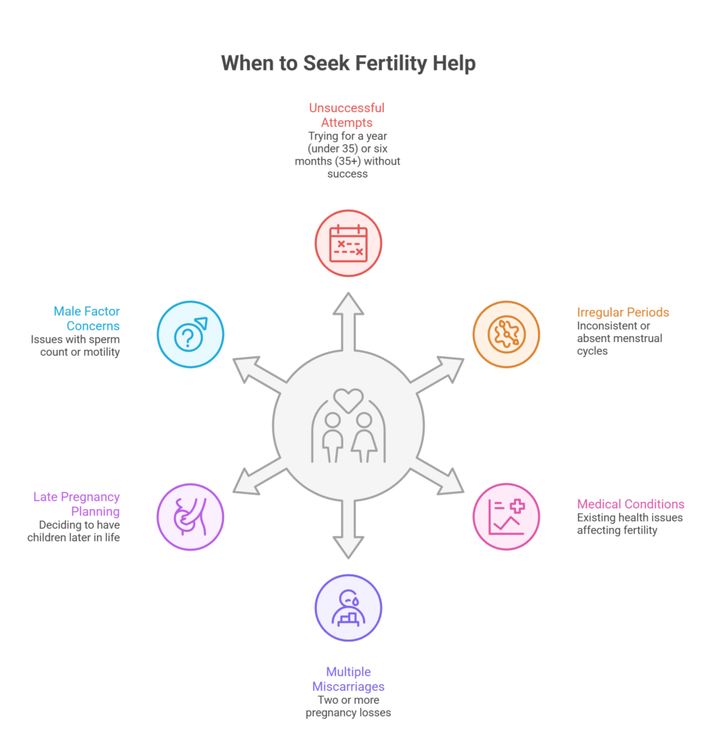 Signs You Should See a Fertility Doctor